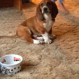 Meet your Posher, Logan